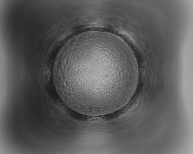 X0000092331159200709141412