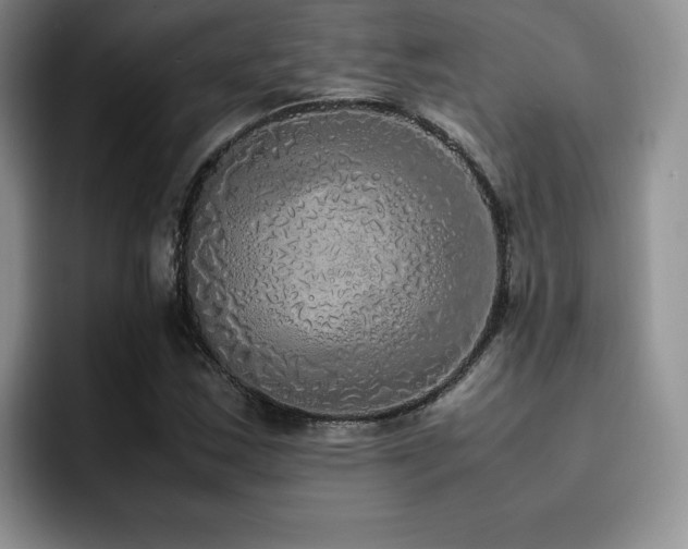 X0000092331163200709141412