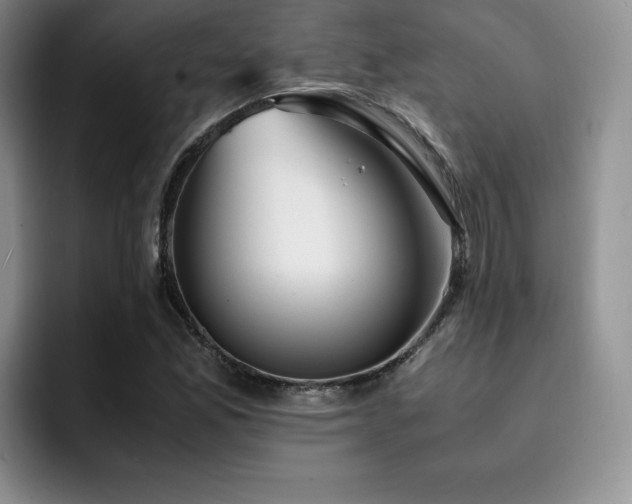 X0000092331165200709141412