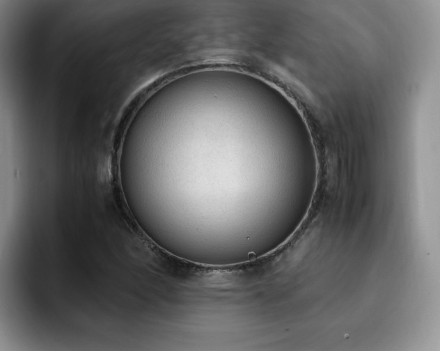 X0000092331166200709141412
