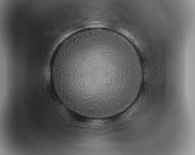 X0000092331167200709141412