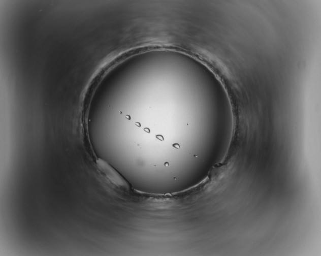 X0000092331168200709141412