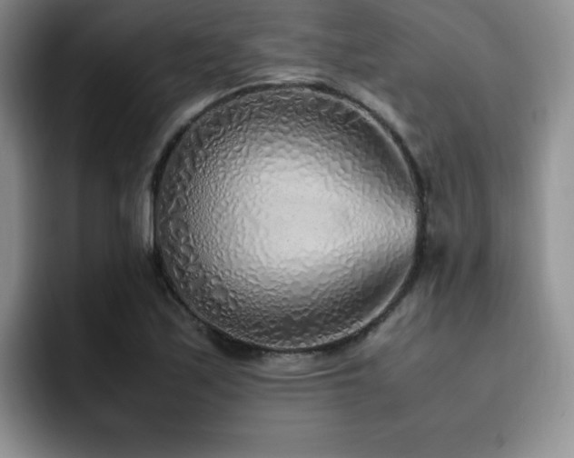 X0000092331171200709141412