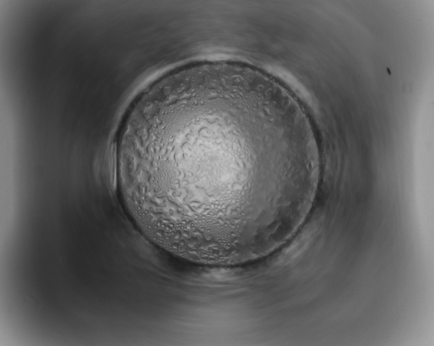 X0000092331175200709141412