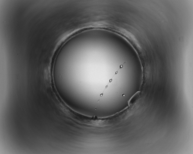 X0000092331176200709141412