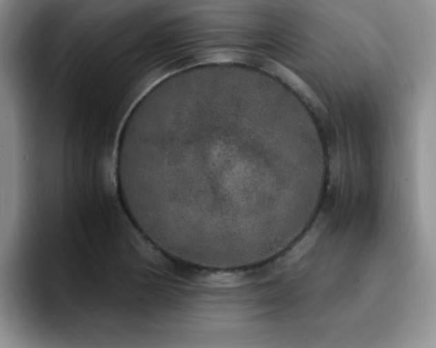 X0000092331178200709141412