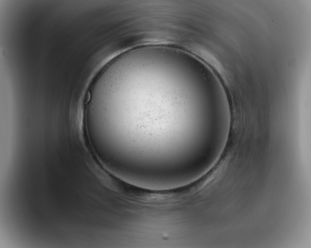X0000092331179200709141412