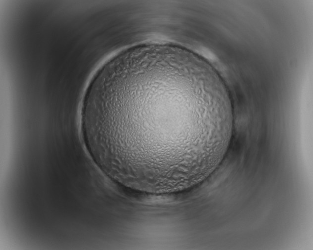 X0000092331183200709141412