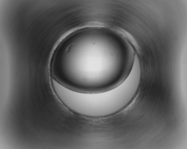 X0000092331192200709141412