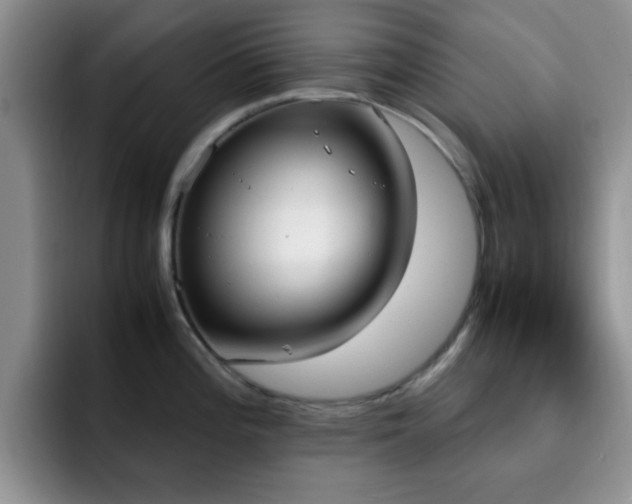 X0000092331196200709141412