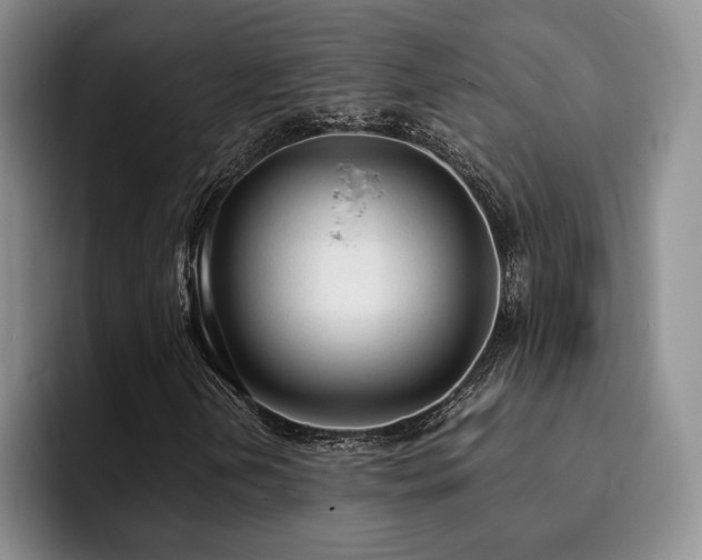 X0000092331202200709141411