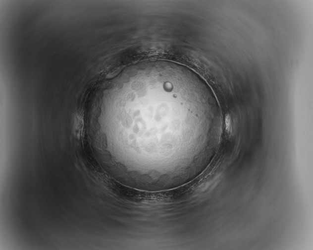 X0000092331203200709141411