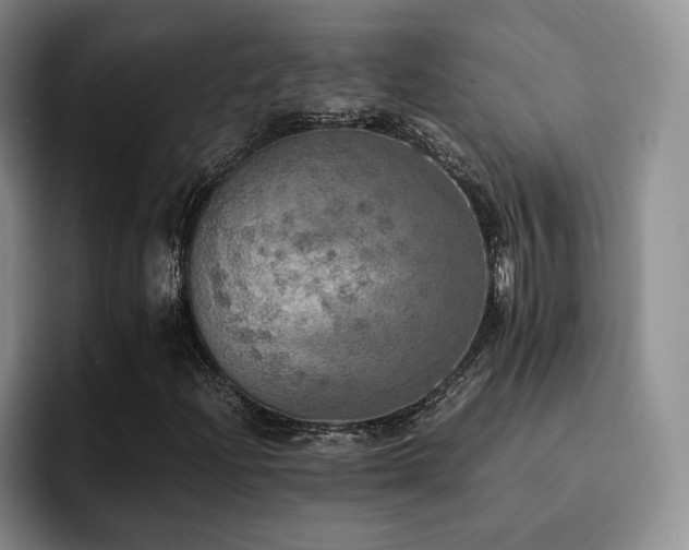 X0000092331204200709141411