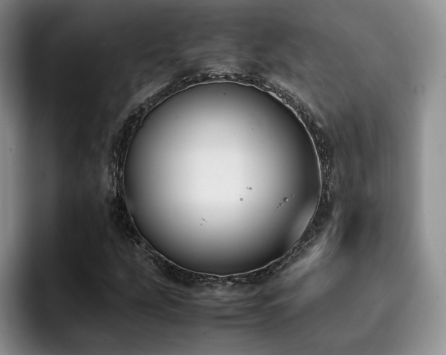 X0000092331207200709141411