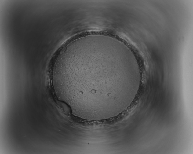 X0000092331208200709141411