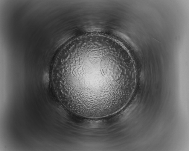 X0000092331209200709141411