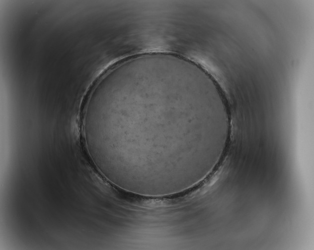 X0000092331212200709141411