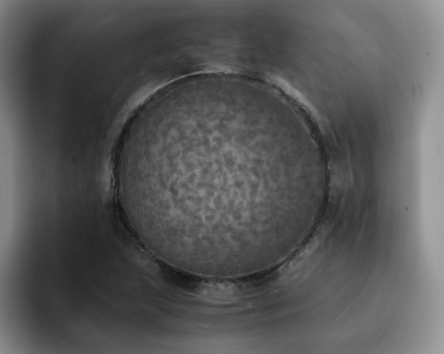 X0000092331215200709141411