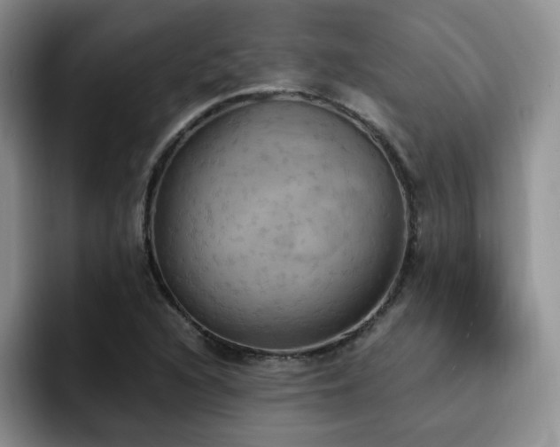 X0000092331216200709141411