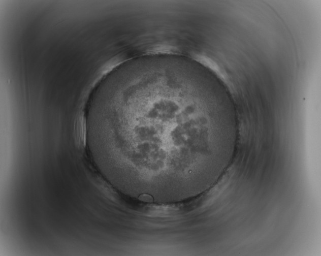 X0000092331219200709141411