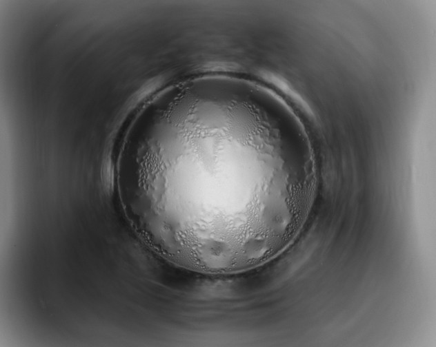 X0000092331221200709141411