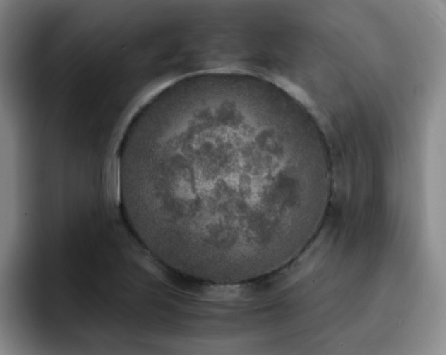 X0000092331223200709141411