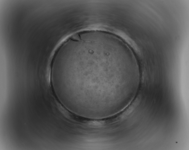 X0000092331224200709141411