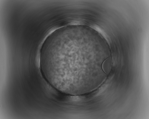 X0000092331227200709141411