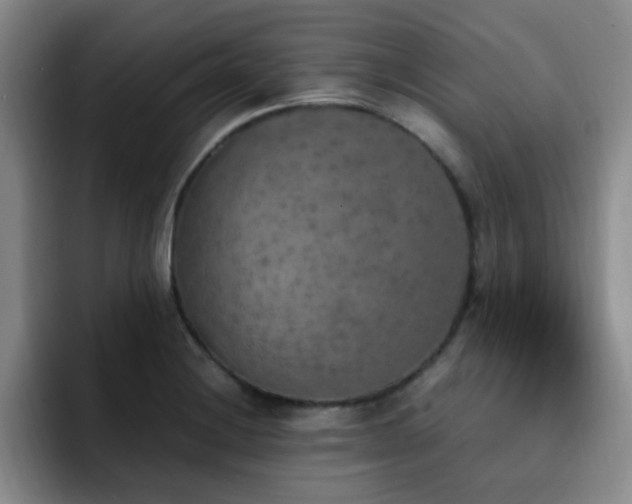 X0000092331228200709141411