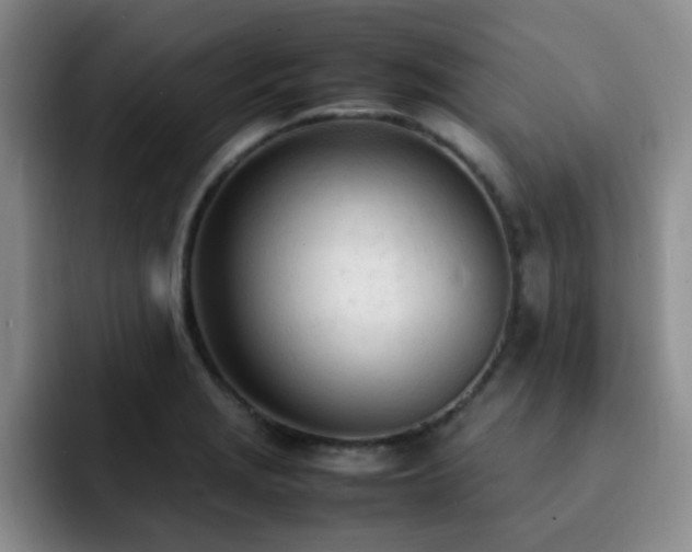 X0000092331229200709141411