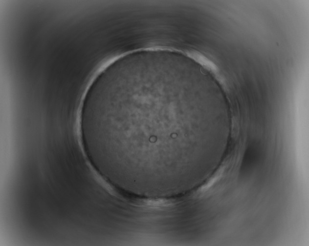 X0000092331231200709141411