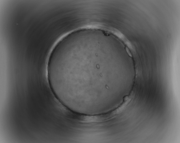 X0000092331232200709141411