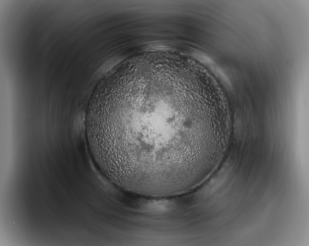 X0000092331233200709141411