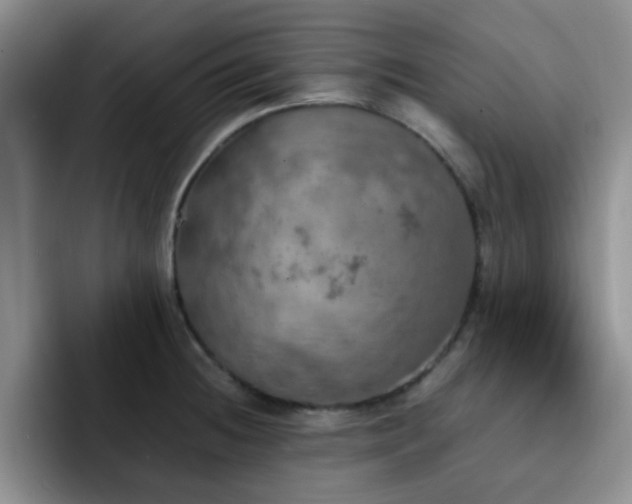 X0000092331236200709141411
