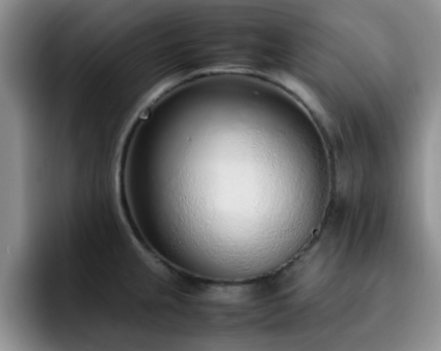 X0000092331237200709141411