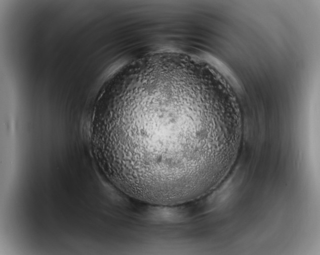 X0000092331241200709141412