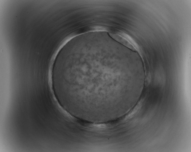 X0000092331243200709141412
