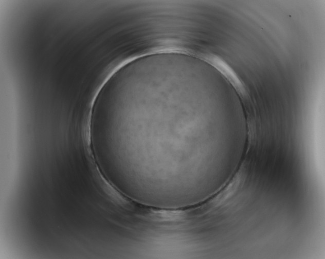 X0000092331244200709141412