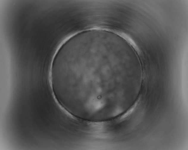 X0000092331247200709141412