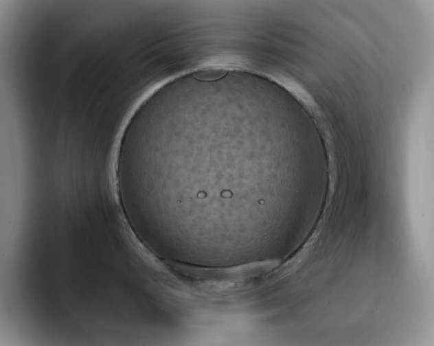 X0000092331248200709141412