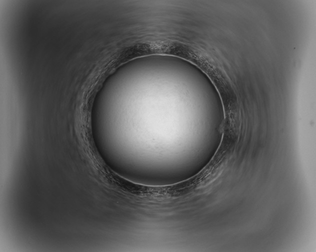 X0000092331249200709141411