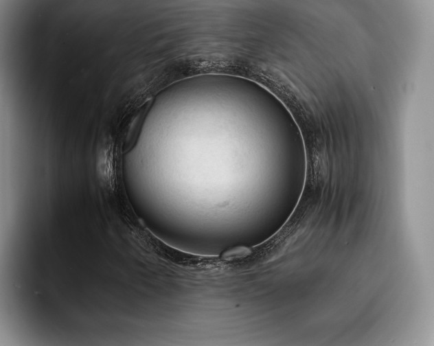 X0000092331250200709141411