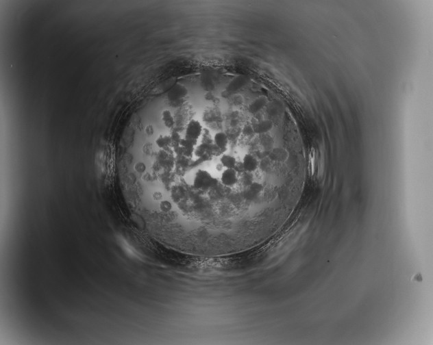 X0000092331251200709141411