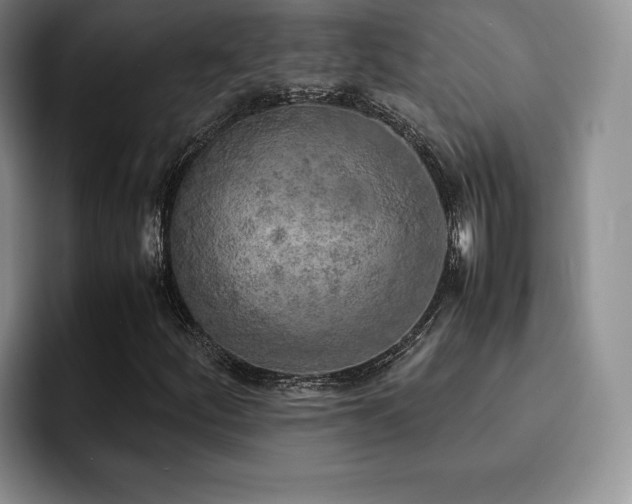 X0000092331252200709141411