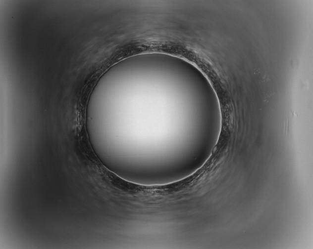 X0000092331253200709141411