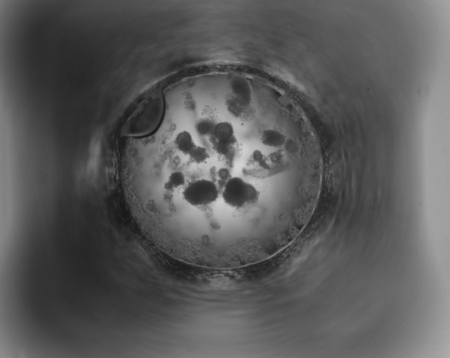 X0000092331255200709141411