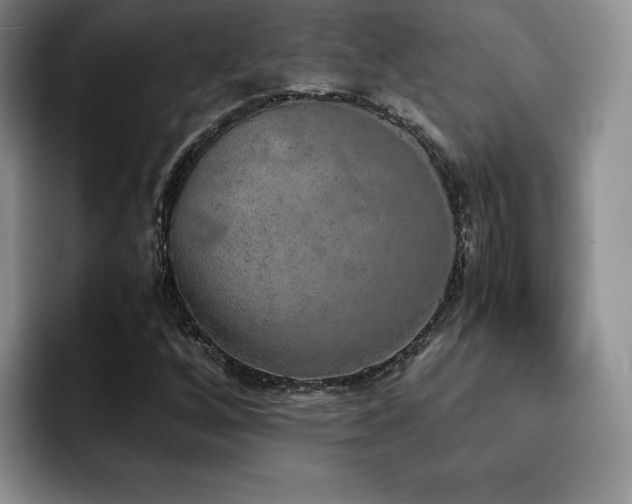 X0000092331256200709141411