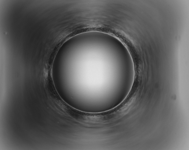 X0000092331257200709141411