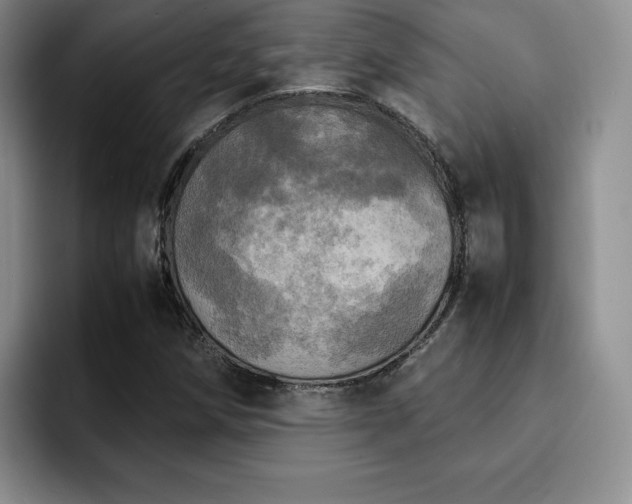 X0000092331258200709141411