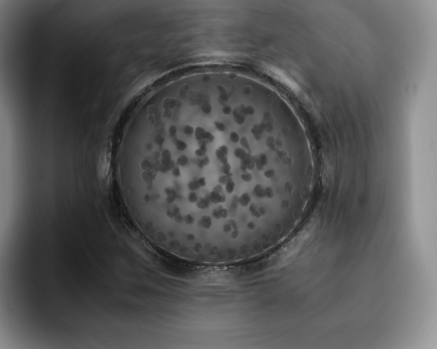 X0000092331259200709141411